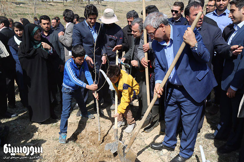 derakhtkari-honarmandan2